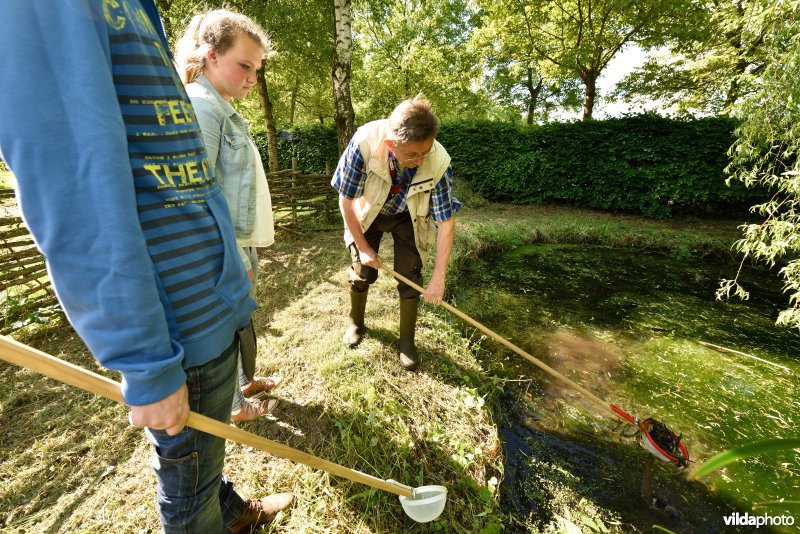 Vloeiweiden