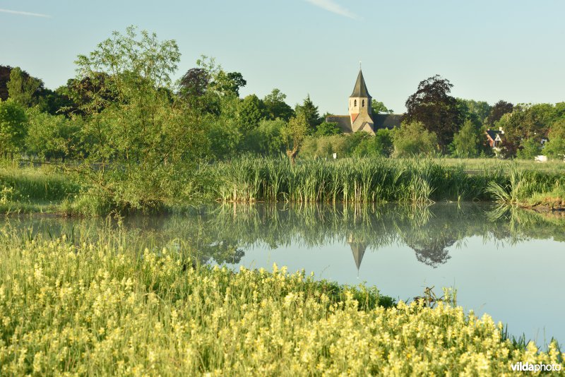 Oude Leie in de Assels