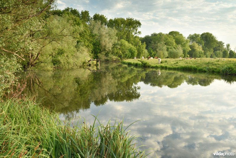 Natuurreservaat Bourgoyen