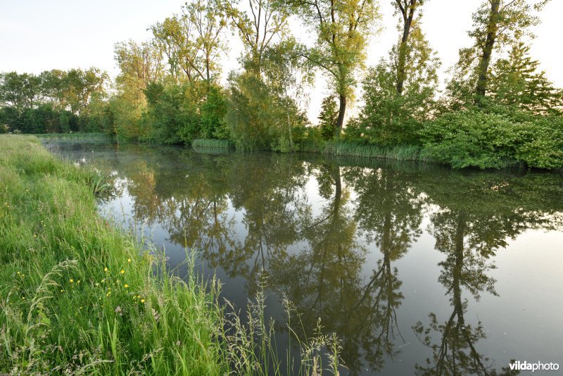 Natuurreservaat Bourgoyen