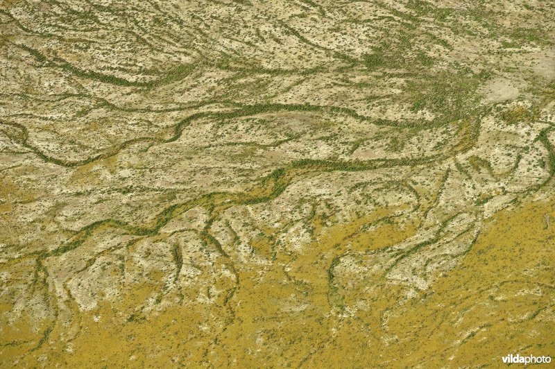 Vlassenbroekse polders