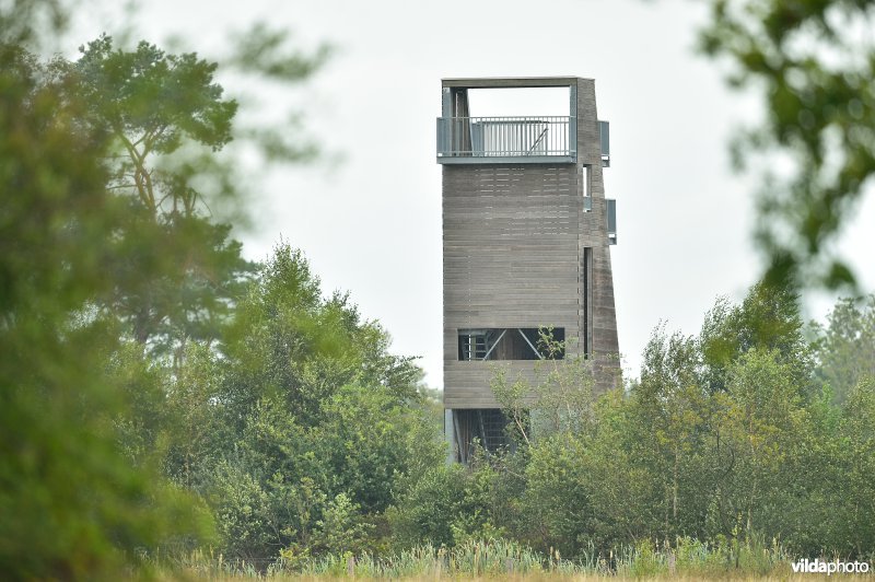 Natuurgebied Turnhouts vennengebied