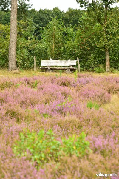 Natuurreservaat De Liereman