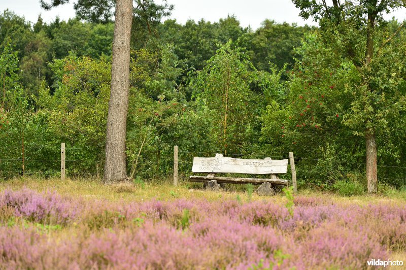 Natuurreservaat De Liereman