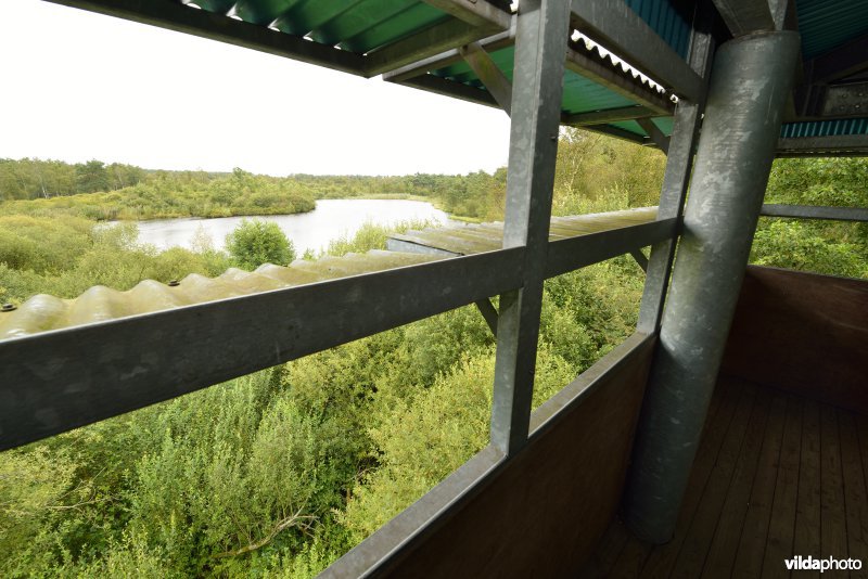 Kijktoren in het natuurreservaat De Liereman