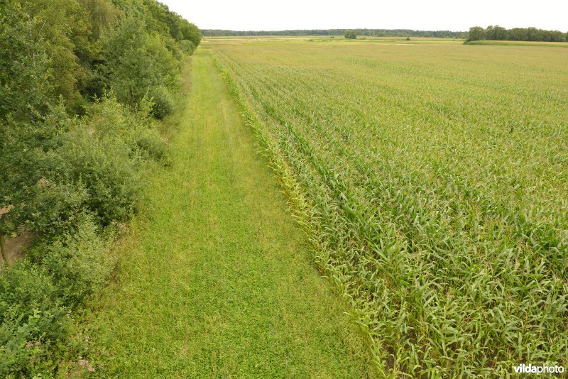 Natuurreservaat De Liereman