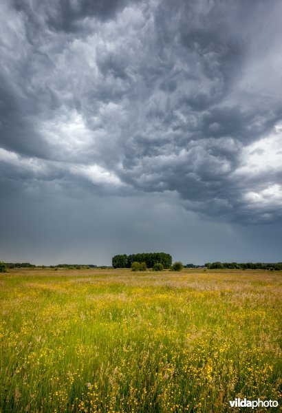 Stormwolken boven het Schulensbroek