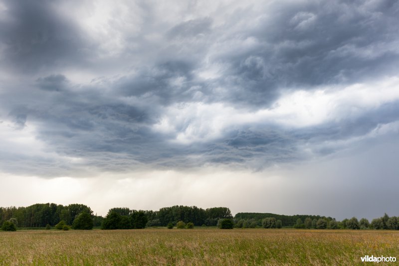 Stormwolken boven het Schulensbroek