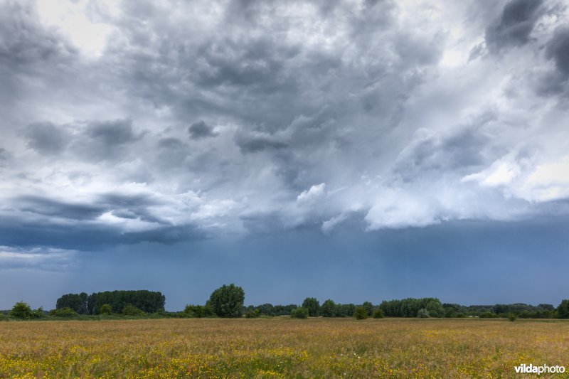 Stormwolken boven het Schulensbroek