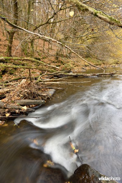 Vallei van de Houille