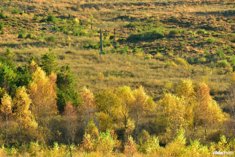 Plateau des Tailles