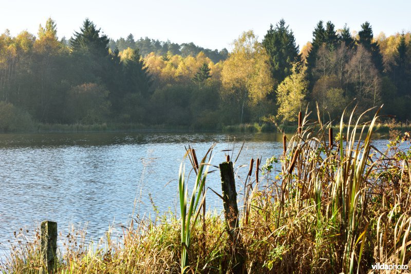 Meer van Boiron