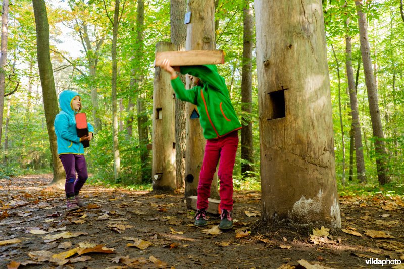 Spelen in het bos