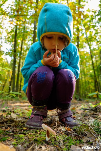 Meisje bekijkt paddenstoel