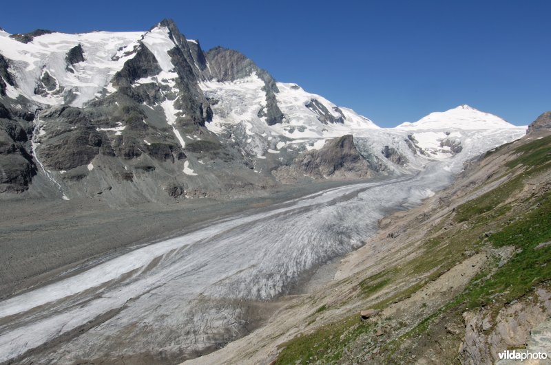 Zicht op de Pasterze gletsjer aan de Grossglockner