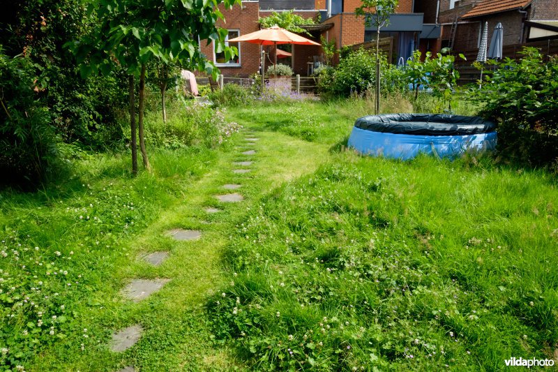Natuur- en kindvriendelijke tuin