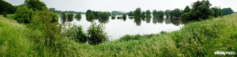 Gevuld wachtbekken
