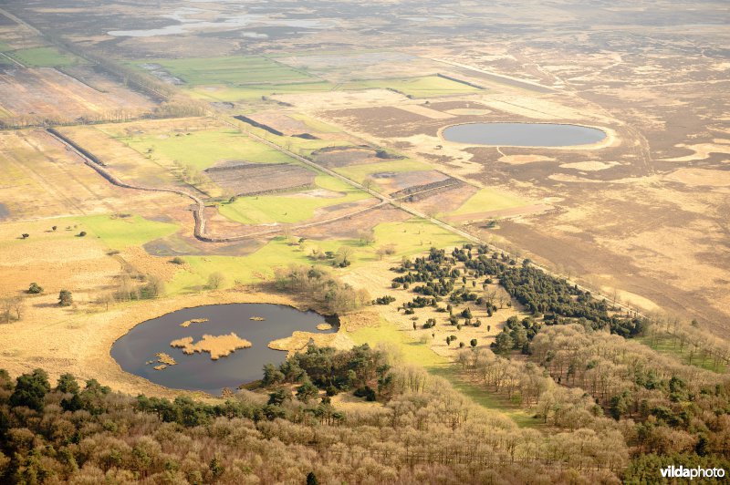 Pingoruines op het Dwingelderveld