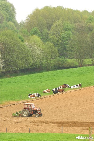 Ploegende landbouwer in de Vlaamse ardennen