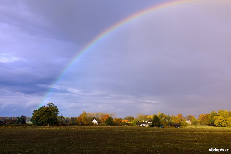 Regenboog over een akker