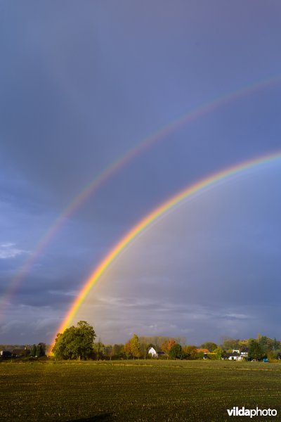 Regenboog over een akker