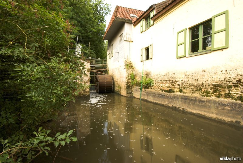 Cottemmolen