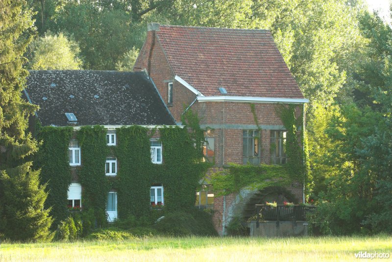 Eetveldemolen op de Mark
