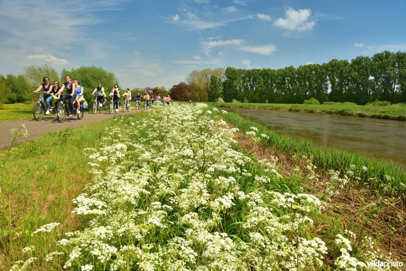 Fietsen langs de Kleine Nete