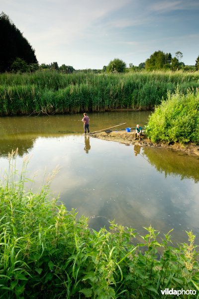 Samenvloeiing van Demer en Gete