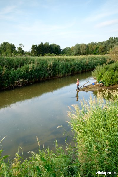 Samenvloeiing van Demer en Gete