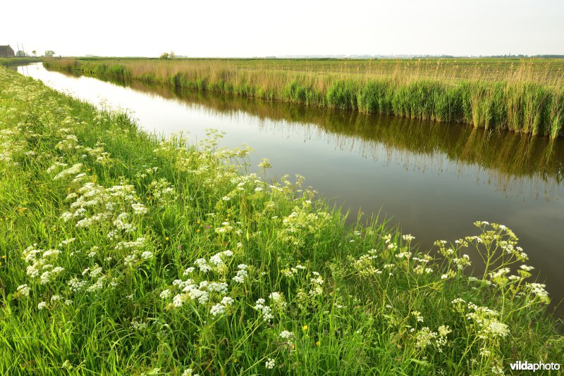 Blankenbergse vaart