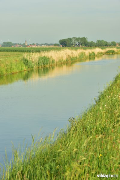 Blankenbergse vaart