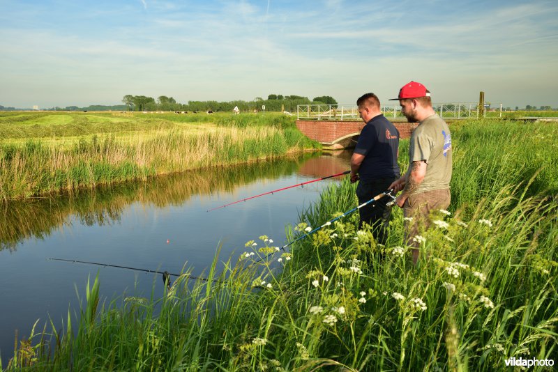 Vissers aan de Blankenbergse vaart