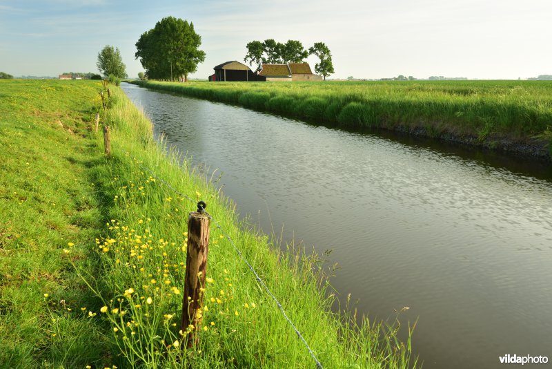 Blankenbergse vaart