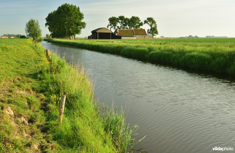 Blankenbergse vaart