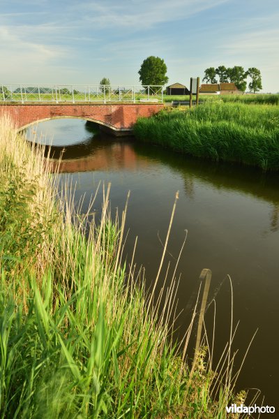 Blankenbergse vaart