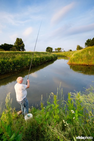 Demer aan de inlaatsluis van het Schulensmeer