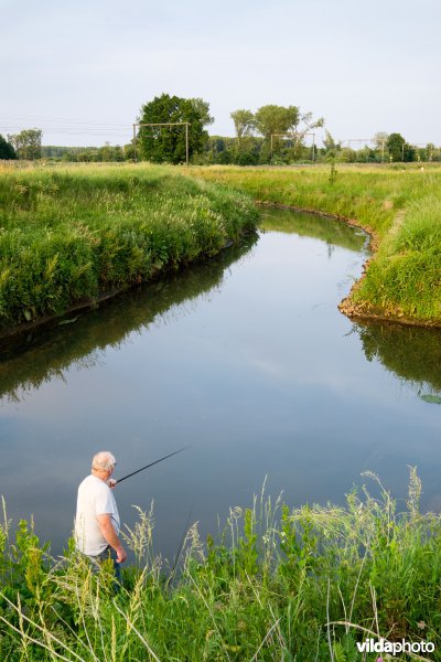 Demer aan de inlaatsluis van het Schulensmeer