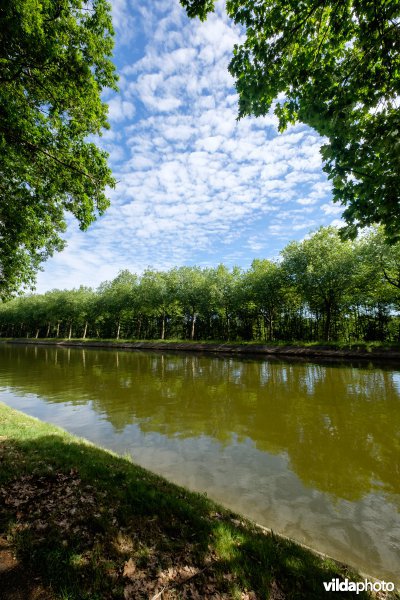 Kanaal Bocholt-Herentals in Limburg