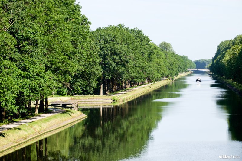 Kanaal Bocholt-Herentals in Limburg