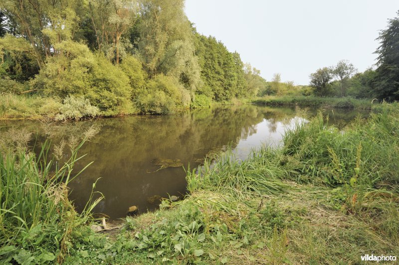 Hengelwater Malakoff-vijvers