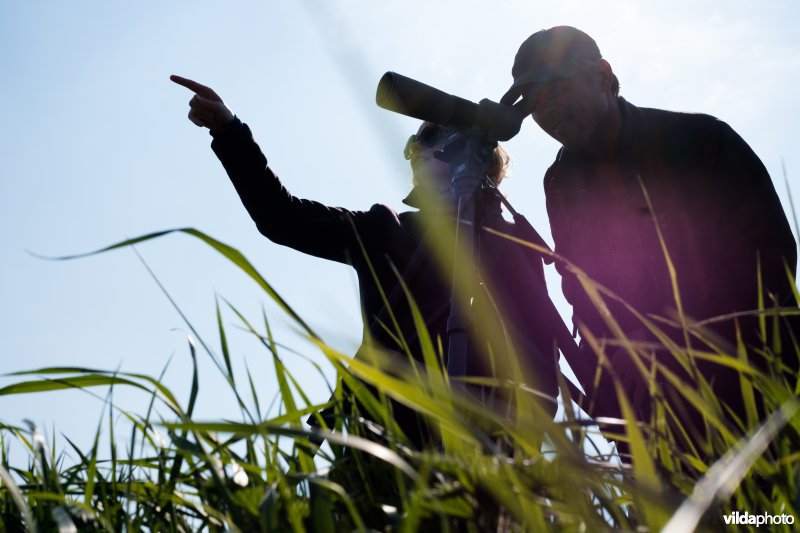 Vogels kijken met telescoop