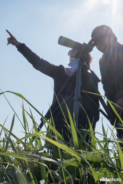 Vogels kijken met telescoop