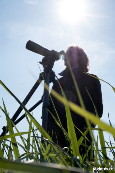 Vogels kijken met telescoop