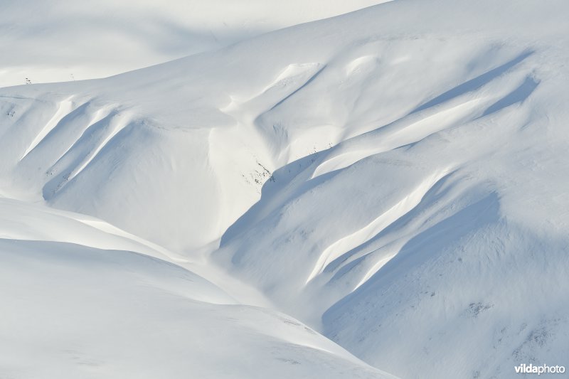 Spitsbergen in de winter