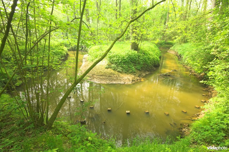 Bosreservaat Rooiveld