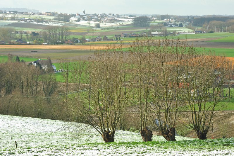 Vlaamse Ardennen