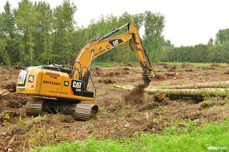 Rooiwerken in de Vlassenbroekse polders