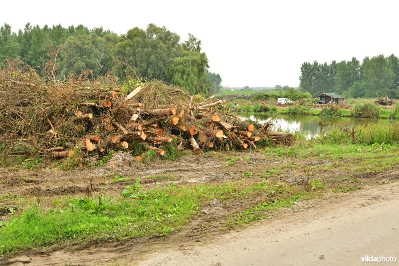 Vlassenbroekse polder