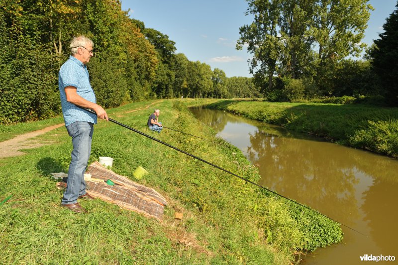 Hengelaar aan de Grote Nete